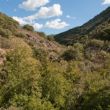 Massif de l'Esterel dans le Var