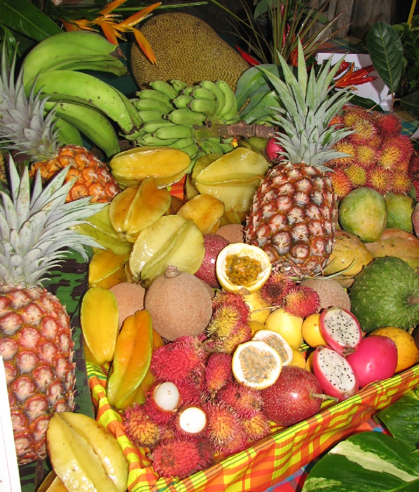 Systèmes durables de production et de transformation agricoles aux Antilles et en Guyane  - 04/11/20111